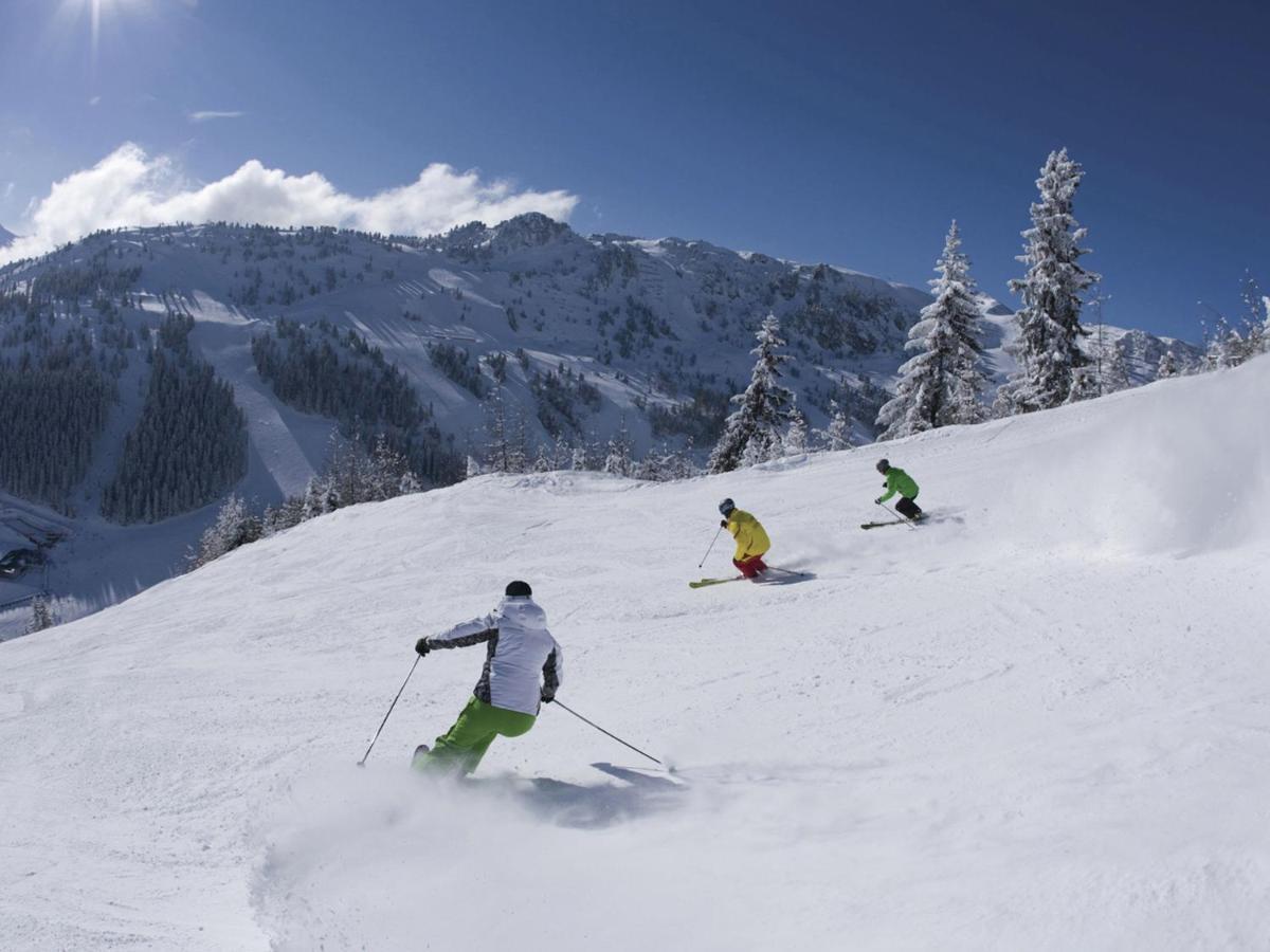 Quiet Flat Near The Mayrhofen Area *