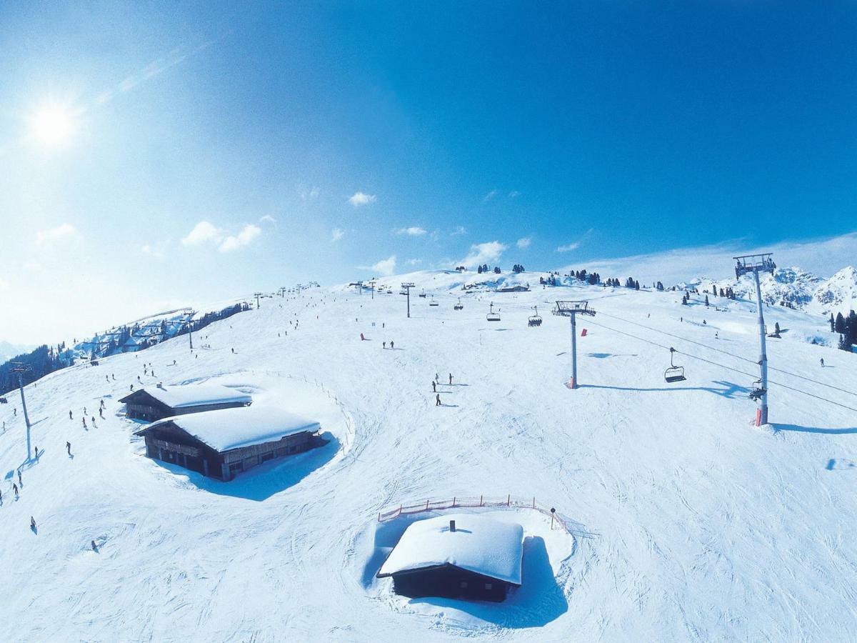 Quiet Flat Near The Mayrhofen Area *